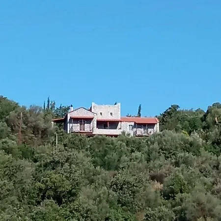 Gs *
